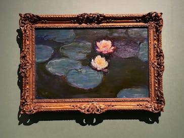 モネ　連作の情景に投稿された画像（2024/4/6）