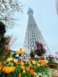東京スカイツリーに投稿された画像（2024/4/6）