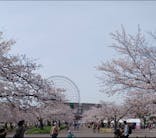 万博記念公園に投稿された画像（2024/4/6）
