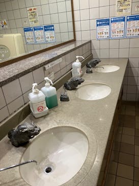 首里城公園 有料区域に投稿された画像（2024/4/6）