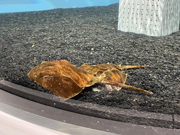 AOAO SAPPOROに投稿された画像（2024/4/6）