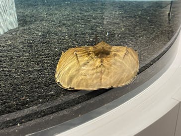 AOAO SAPPOROに投稿された画像（2024/4/6）