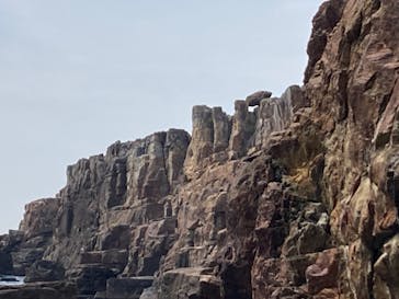 三段壁洞窟に投稿された画像（2024/4/6）