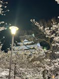 大阪城公園 西の丸庭園に投稿された画像（2024/4/6）