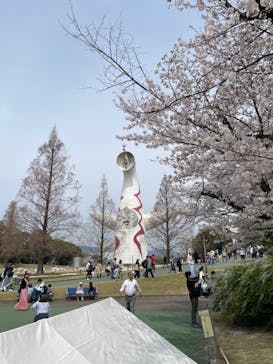 万博記念公園に投稿された画像（2024/4/6）