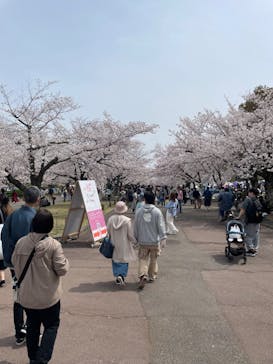 万博記念公園に投稿された画像（2024/4/6）