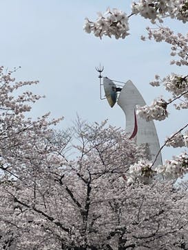 万博記念公園に投稿された画像（2024/4/6）