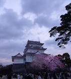 小田原城に投稿された画像（2024/4/6）