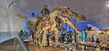 福井県立恐竜博物館に投稿された画像（2024/4/6）