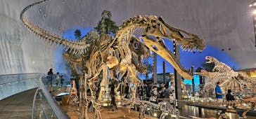 福井県立恐竜博物館に投稿された画像（2024/4/6）