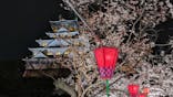大阪城公園 西の丸庭園に投稿された画像（2024/4/6）