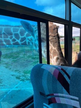 岩手サファリパークに投稿された画像（2024/4/6）