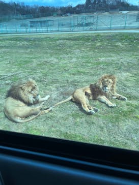 岩手サファリパークに投稿された画像（2024/4/6）