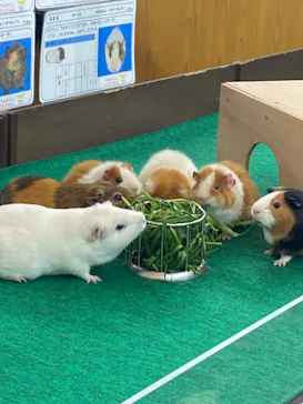 天王寺動物園に投稿された画像（2024/4/6）