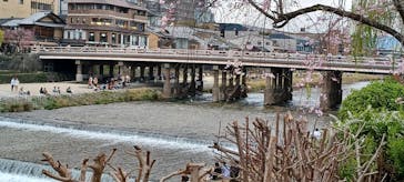 京阪電車に投稿された画像（2024/4/6）