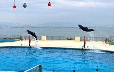 マリンワールド海の中道に投稿された画像（2024/4/6）