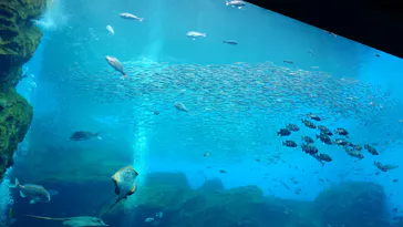 仙台うみの杜水族館に投稿された画像（2024/4/6）