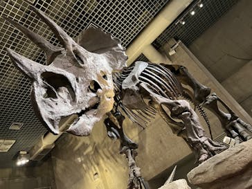 国立科学博物館に投稿された画像（2024/4/6）