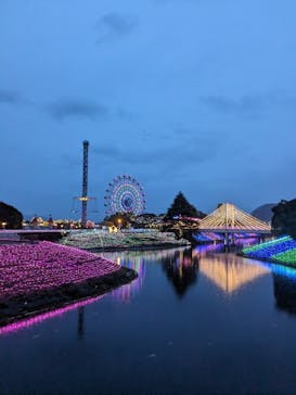 レオマリゾートに投稿された画像（2024/4/6）