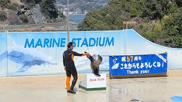 下田海中水族館に投稿された画像（2024/4/6）