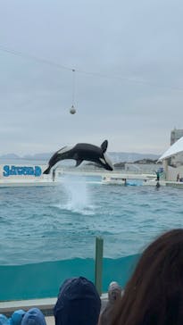 鴨川シーワールドに投稿された画像（2024/4/6）