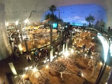 福井県立恐竜博物館に投稿された画像（2024/4/6）