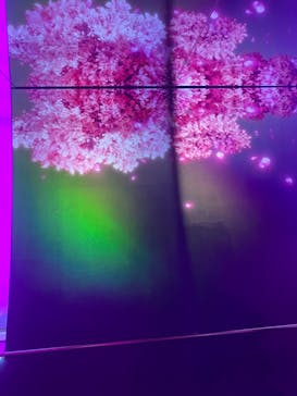 アクアワールド茨城県大洗水族館に投稿された画像（2024/4/6）