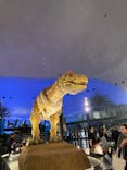 福井県立恐竜博物館に投稿された画像（2024/4/7）