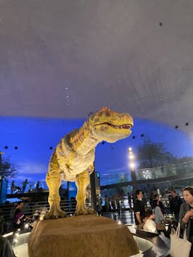 福井県立恐竜博物館に投稿された画像（2024/4/6）