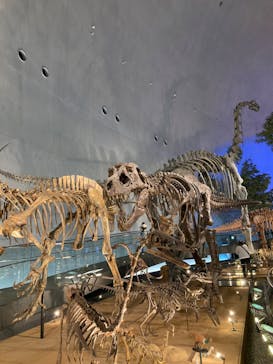 福井県立恐竜博物館に投稿された画像（2024/4/6）