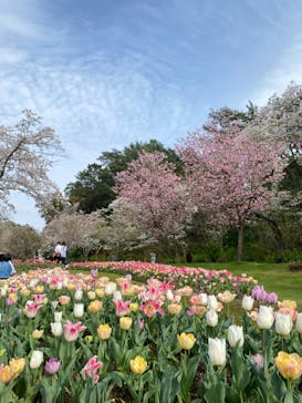 浜名湖花博2024に投稿された画像（2024/4/6）
