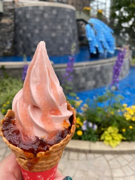 浜名湖花博2024に投稿された画像（2024/4/6）