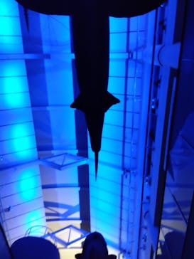 アクアワールド茨城県大洗水族館に投稿された画像（2024/4/6）