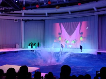 アクアワールド茨城県大洗水族館に投稿された画像（2024/4/6）