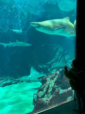 マリンワールド海の中道に投稿された画像（2024/4/7）