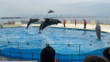 マリンワールド海の中道に投稿された画像（2024/4/7）