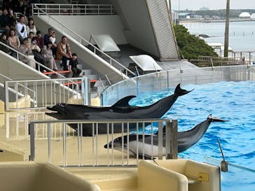 マリンワールド海の中道に投稿された画像（2024/4/7）