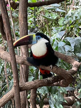 神戸どうぶつ王国に投稿された画像（2024/4/7）