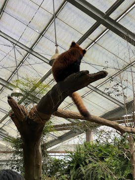 神戸どうぶつ王国に投稿された画像（2024/4/7）