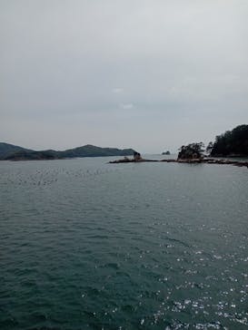 九十九島遊覧船に投稿された画像（2024/4/7）