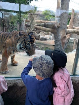 神戸どうぶつ王国に投稿された画像（2024/4/7）