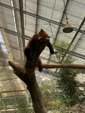 神戸どうぶつ王国に投稿された画像（2024/4/7）