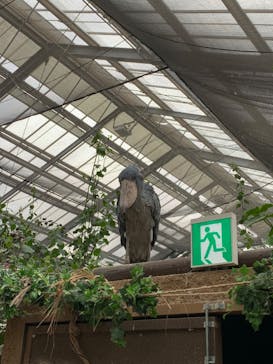 神戸どうぶつ王国に投稿された画像（2024/4/7）