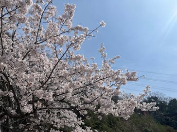 NESTA RESORT KOBE（ネスタリゾート神戸）に投稿された画像（2024/4/7）