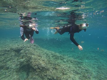 沖縄マリンサービス碧に投稿された画像（2024/4/7）