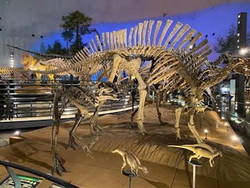 福井県立恐竜博物館に投稿された画像（2024/4/7）