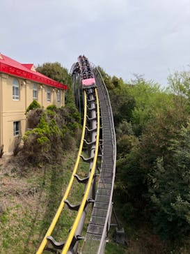 日本モンキーパークに投稿された画像（2024/4/7）