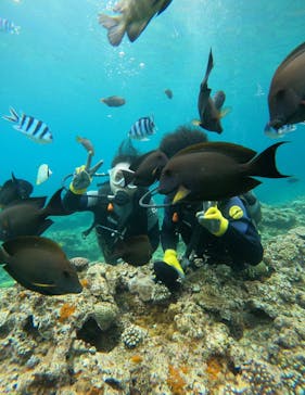 武藤潜水に投稿された画像（2024/4/7）