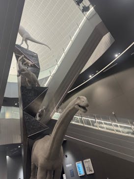 福井県立恐竜博物館に投稿された画像（2024/4/7）