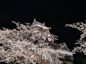 松江城に投稿された画像（2024/4/7）